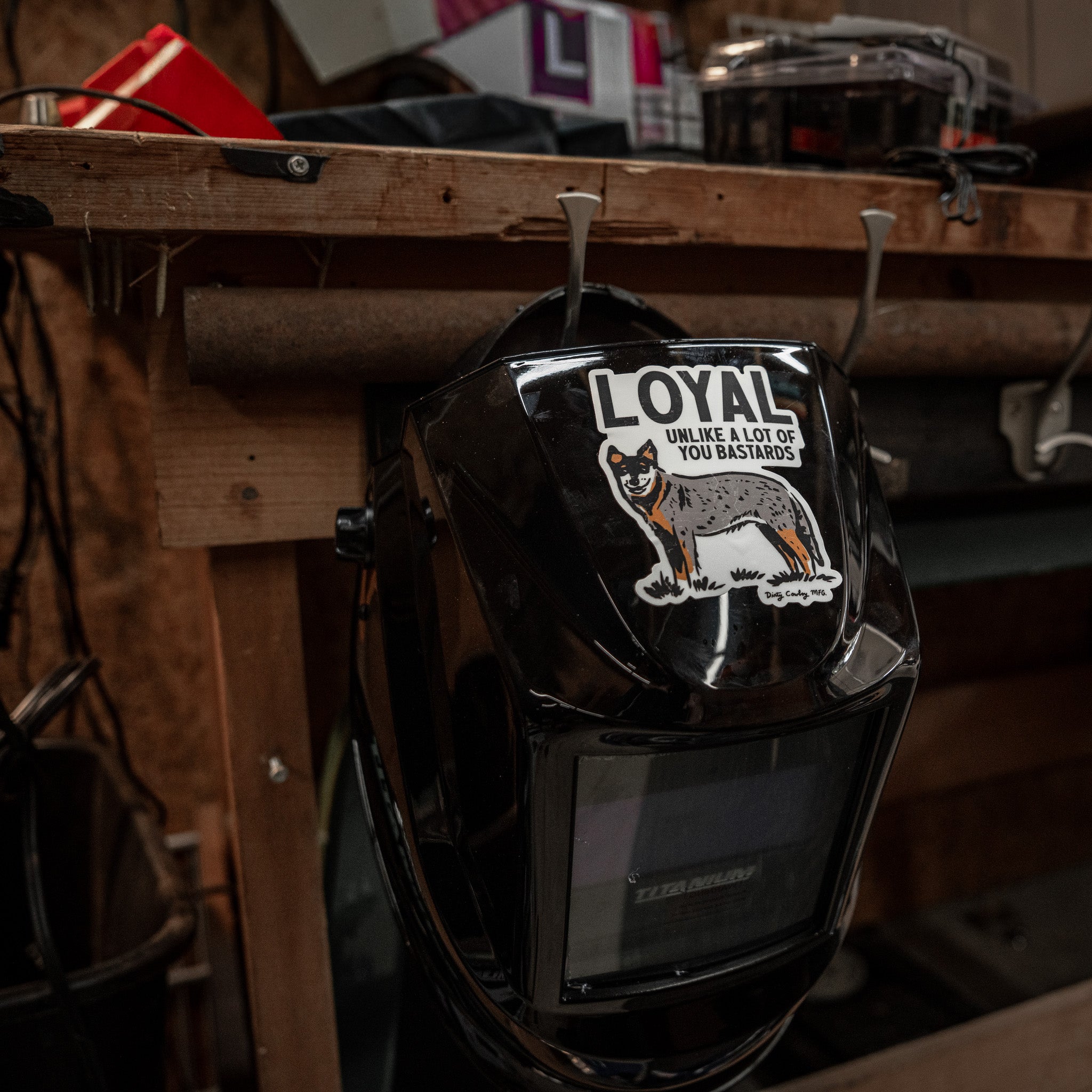 Loyal Unlike A Lot Of You Bastards Dog Decal